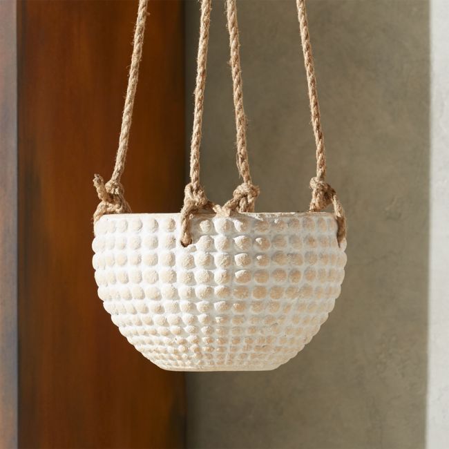 Online Designer Hallway/Entry Zola Small Hanging Planter