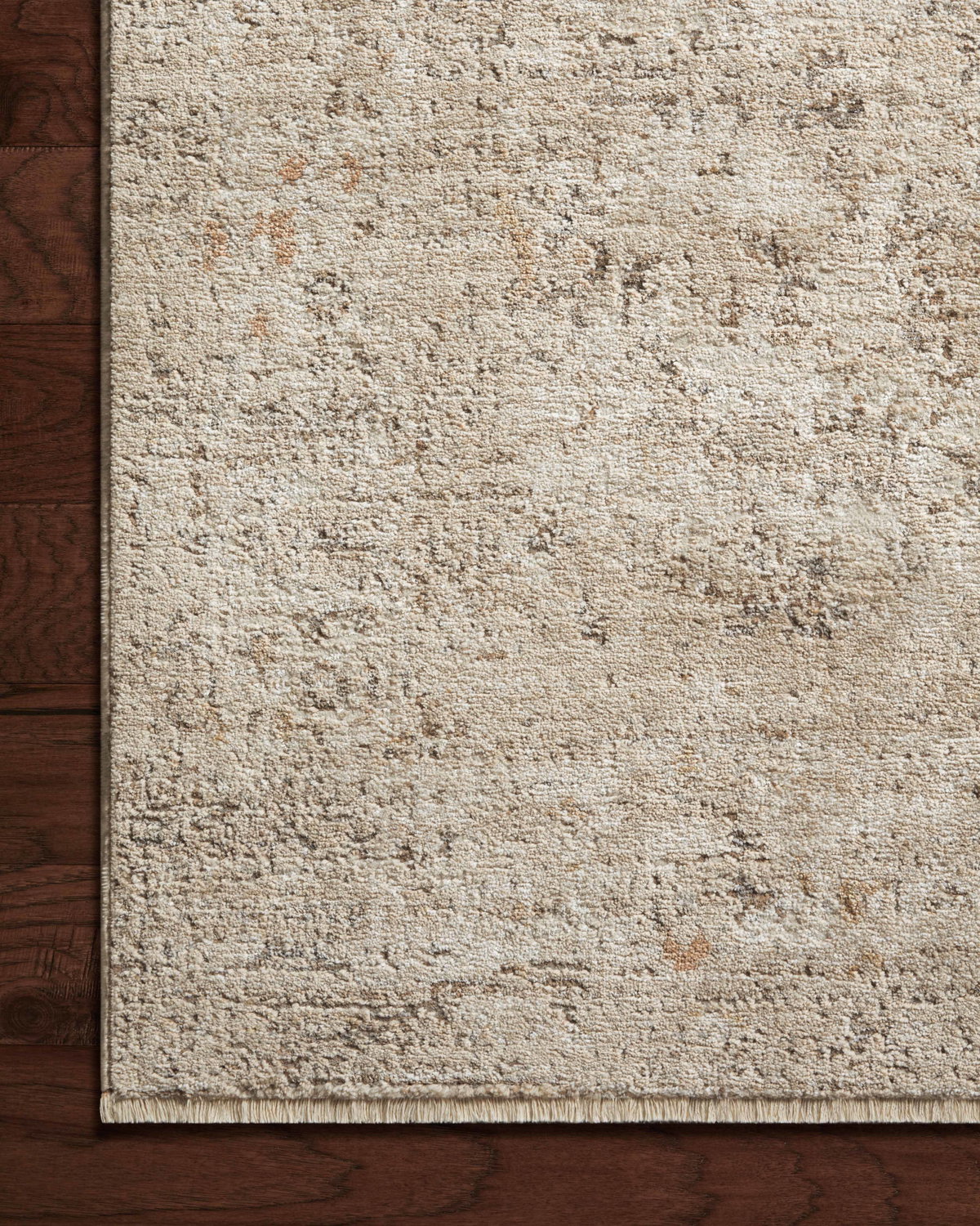 Loloi Sonnet Rug, 1'6" length x 1'6" width View 4