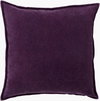 Cotton Velvet Accent Pillow, Decorative Pillow by Surya, 22" length x 22" width thumbnail
