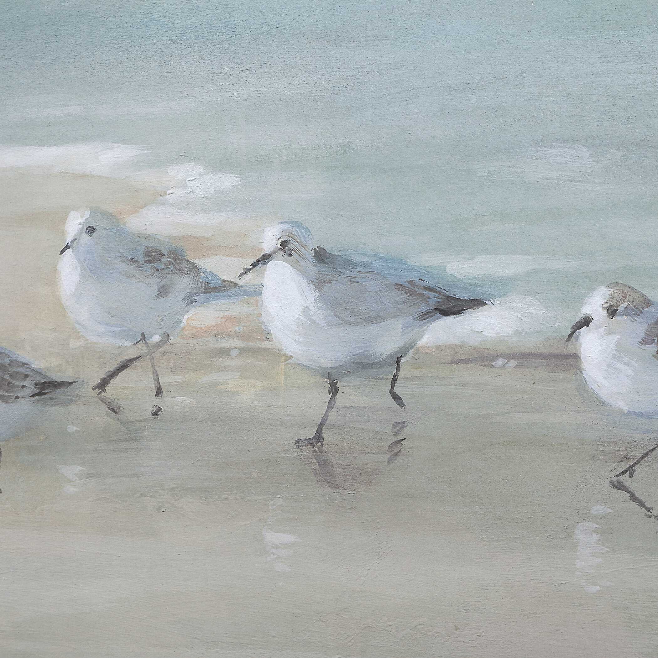 Tranquil Shorebirds On The Sand Framed Print large image 