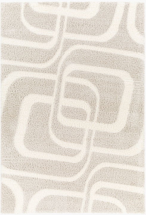Cloudy Shag Machine Woven Rug