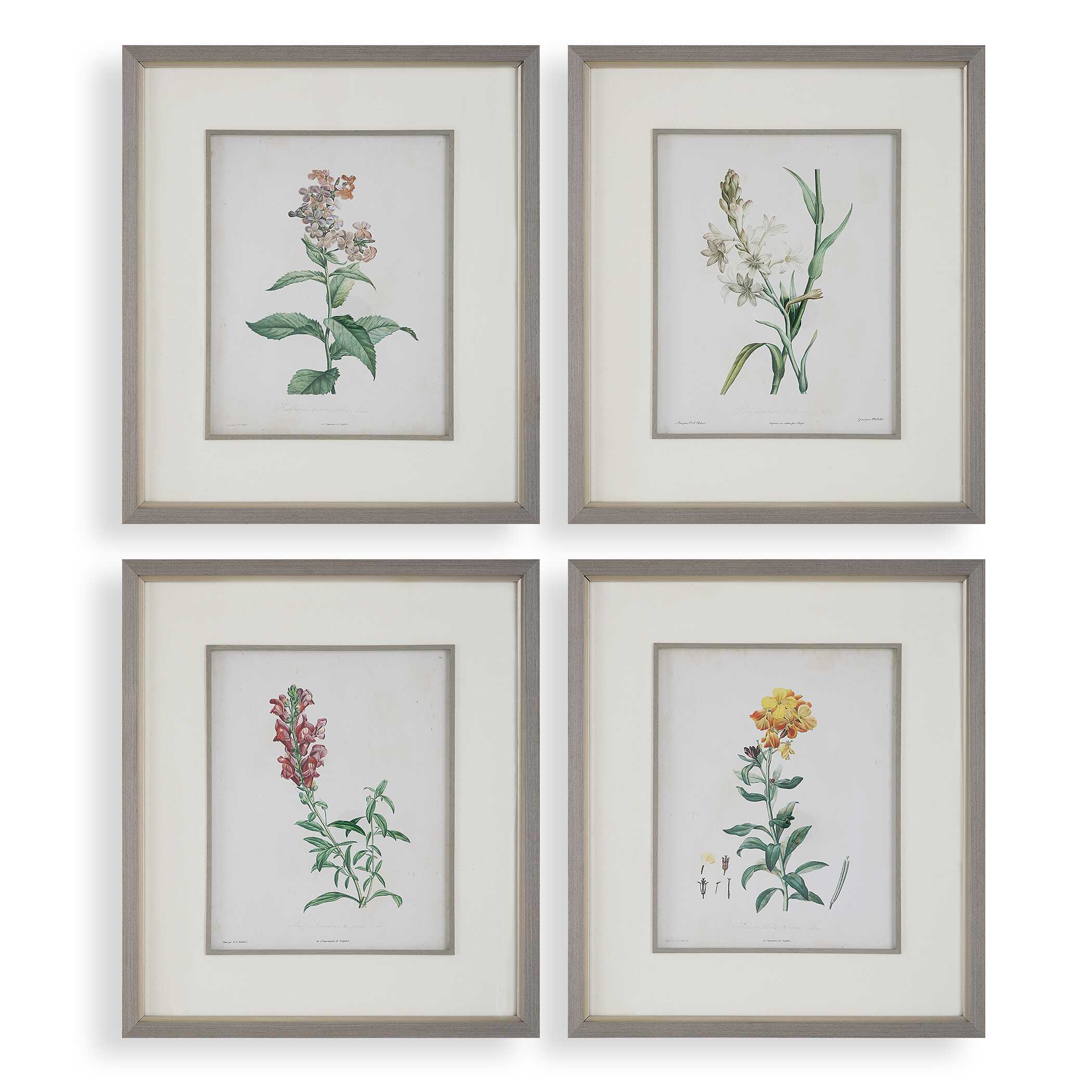 Heirloom Blooms Study Framed Prints Set/4 large image 
