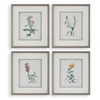 Heirloom Blooms Study Framed Prints Set/4 thumbnail 0