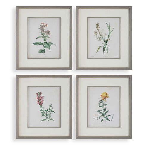 Heirloom Blooms Study Framed Prints Set/4
