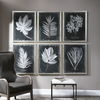 Foliage Framed Prints, S/6 thumbnail 3