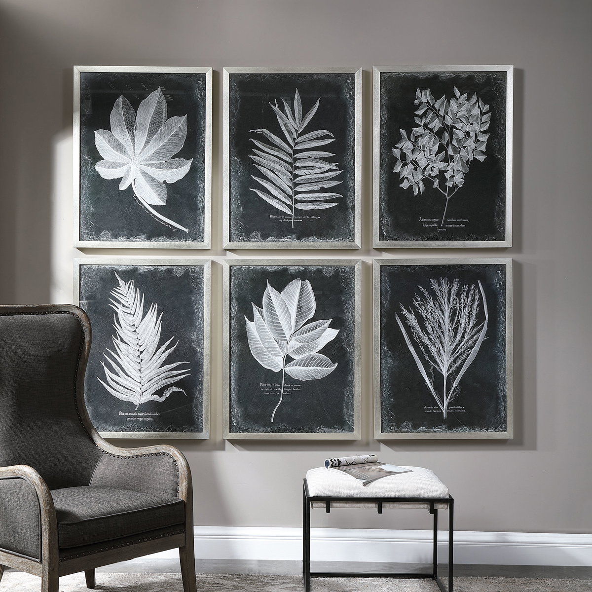 Foliage Framed Prints Set/6, Art by Uttermost, 25.75" width x 33.75" height x 2.25" depth View 2