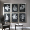 Foliage Framed Prints Set/6, Art by Uttermost, 25.75" width x 33.75" height x 2.25" depth thumbnail 2
