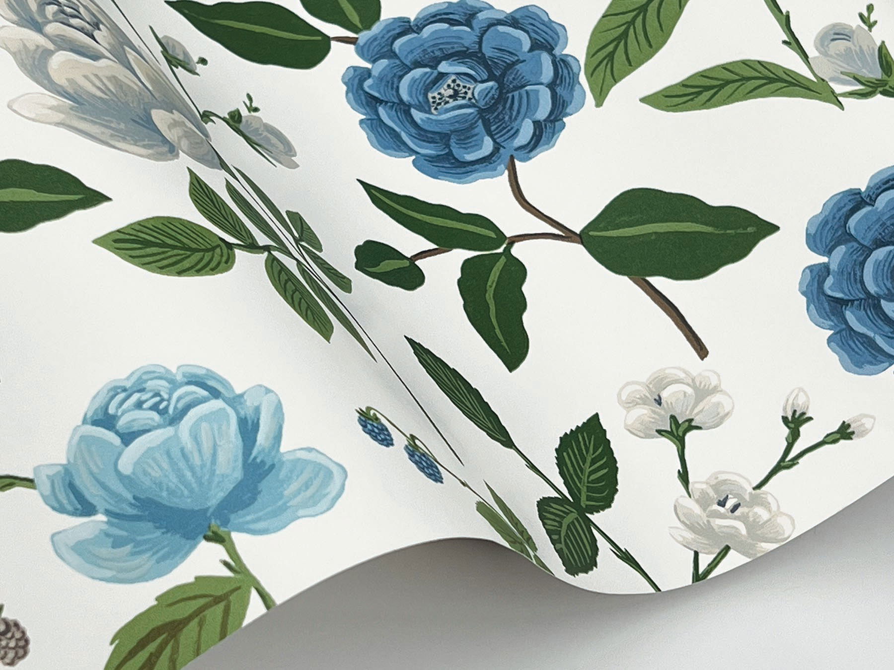 Roses Blue Wallpaper large image 