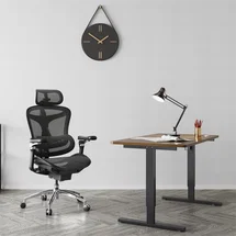 Online Designer Bedroom Doro Ergonomic Mesh Office Chair