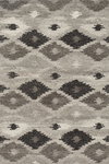 Loloi Akina Rug, 3'6" length x 5'6" width thumbnail 1
