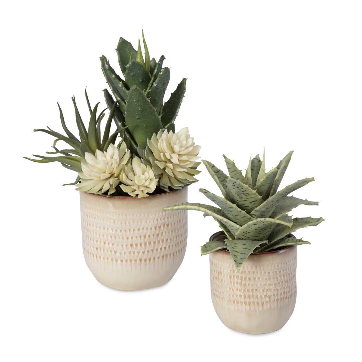 Seaside Succulents Set/2, by Uttermost, 9" width x 1' height x 7" depth View 1
