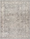 Davina Machine Woven Rug, by Surya, 11'11.7" length x 9'2.24" width thumbnail