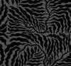 Fern Fronds Black Wallpaper 0 Fern Fronds Black Wallpaper thumbnail 0