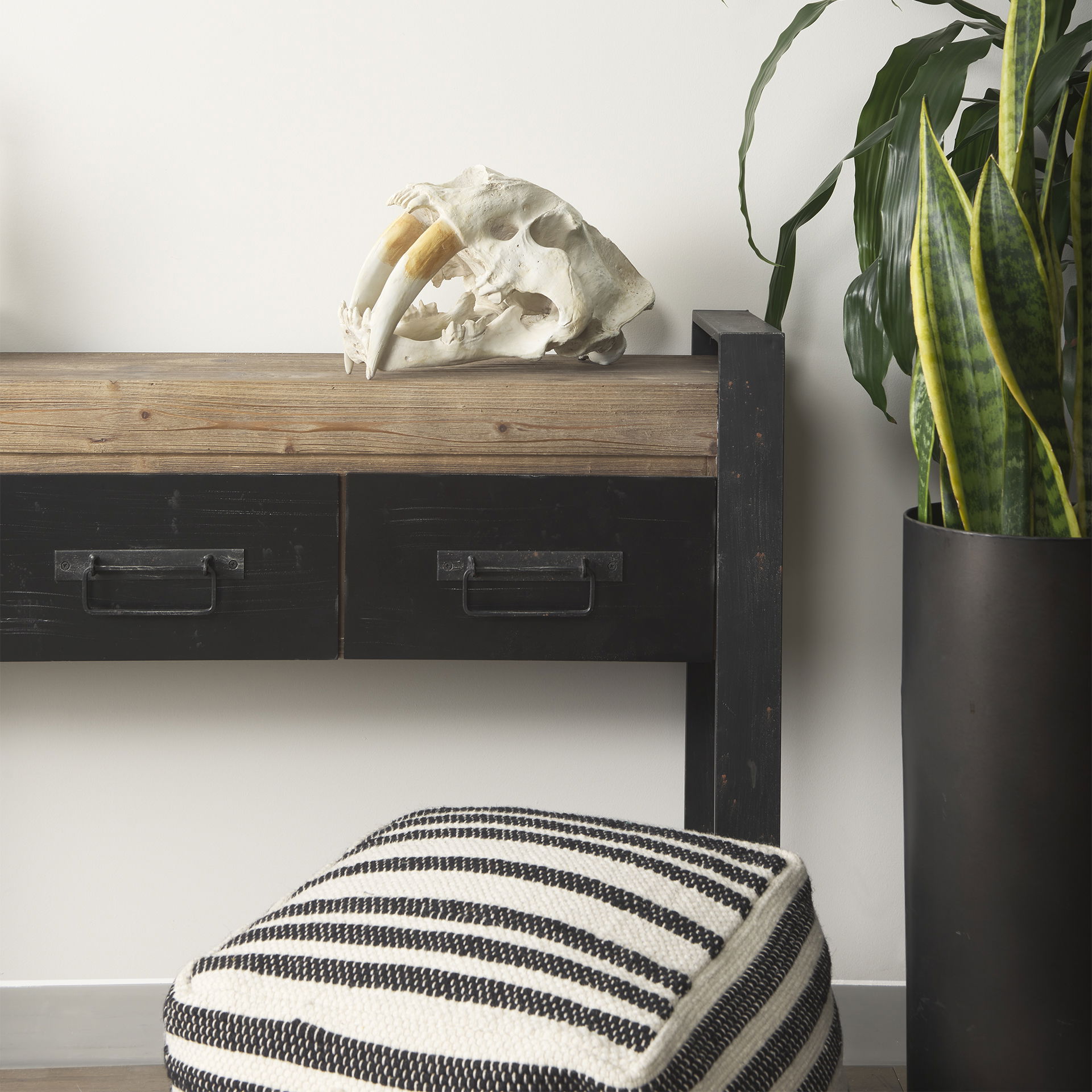 Fozzil 9L x 9W Resin Sabretooth Skull Replica large image 