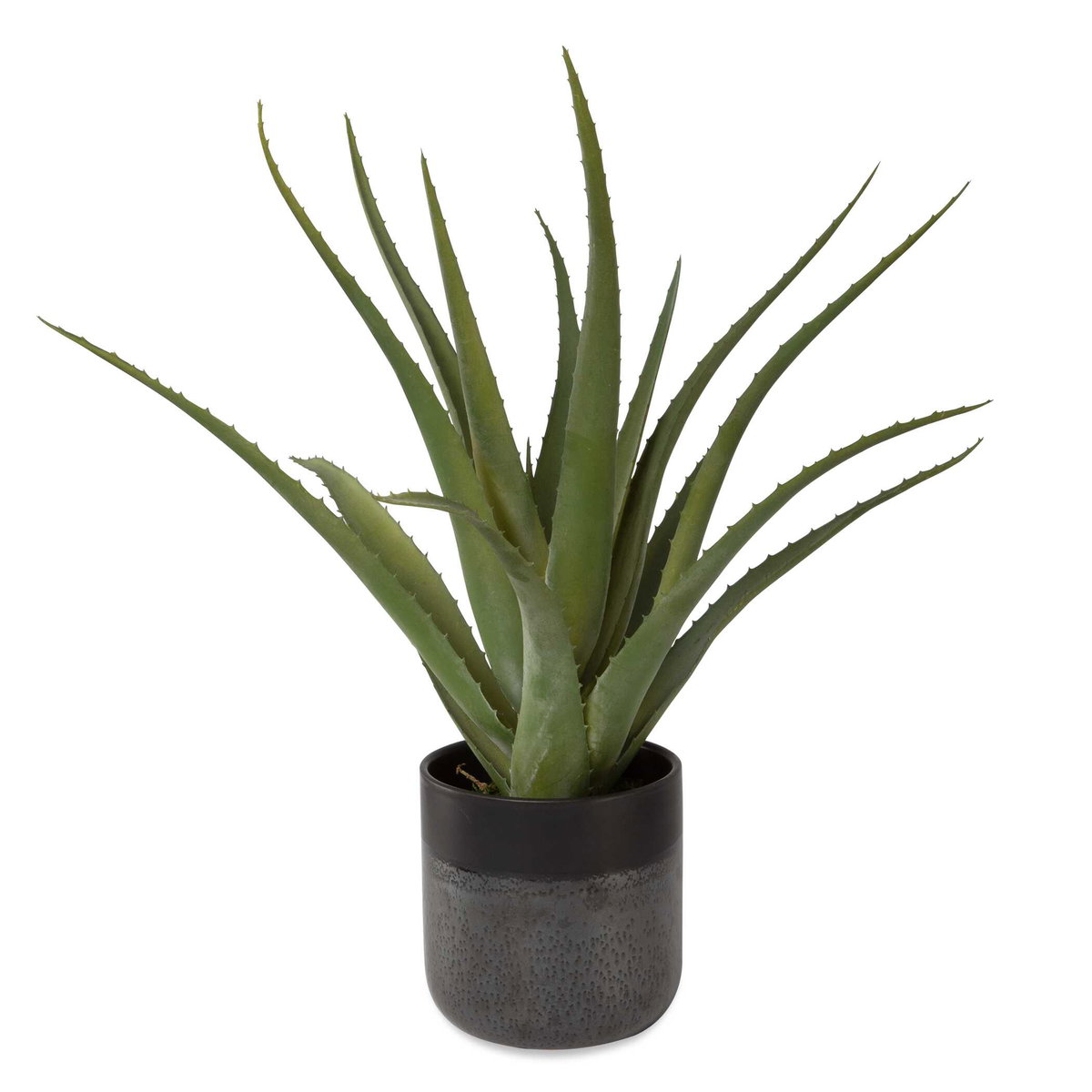 Tucson Aloe Planter, Artificial Plants & Flower by Uttermost, 17" width x 19" height x 17" depth View 3