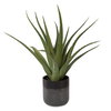 Tucson Aloe Planter, Artificial Plants & Flower by Uttermost, 17" width x 19" height x 17" depth thumbnail 3
