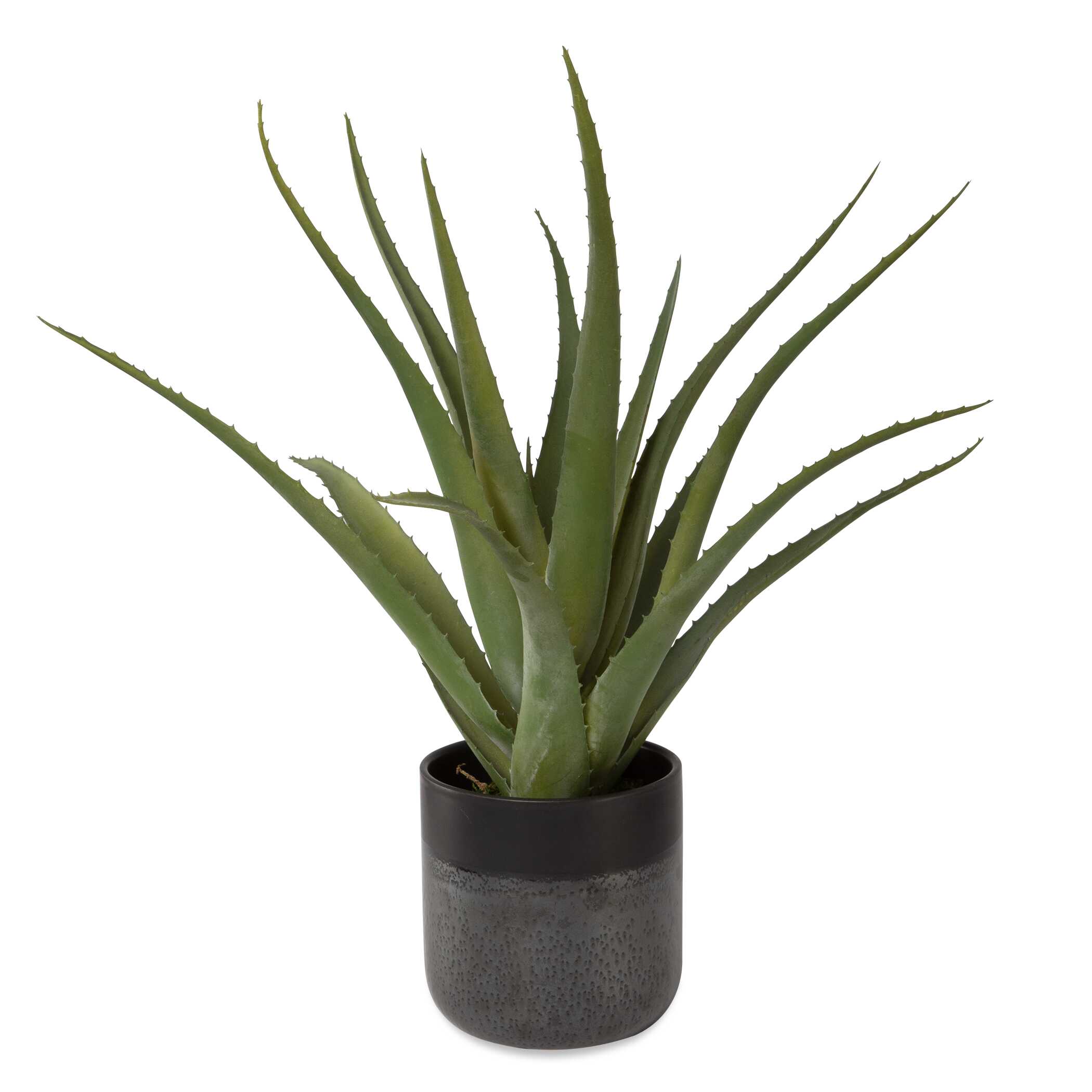 Tucson Aloe Planter, Decorative by Uttermost, 17" width x 19" height x 17" depth View 3