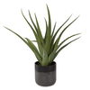 Tucson Aloe Planter, Decorative by Uttermost, 17" width x 19" height x 17" depth thumbnail 3