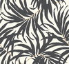 Bali Leaves Off White & Dark Grey Wallpaper thumbnail 0
