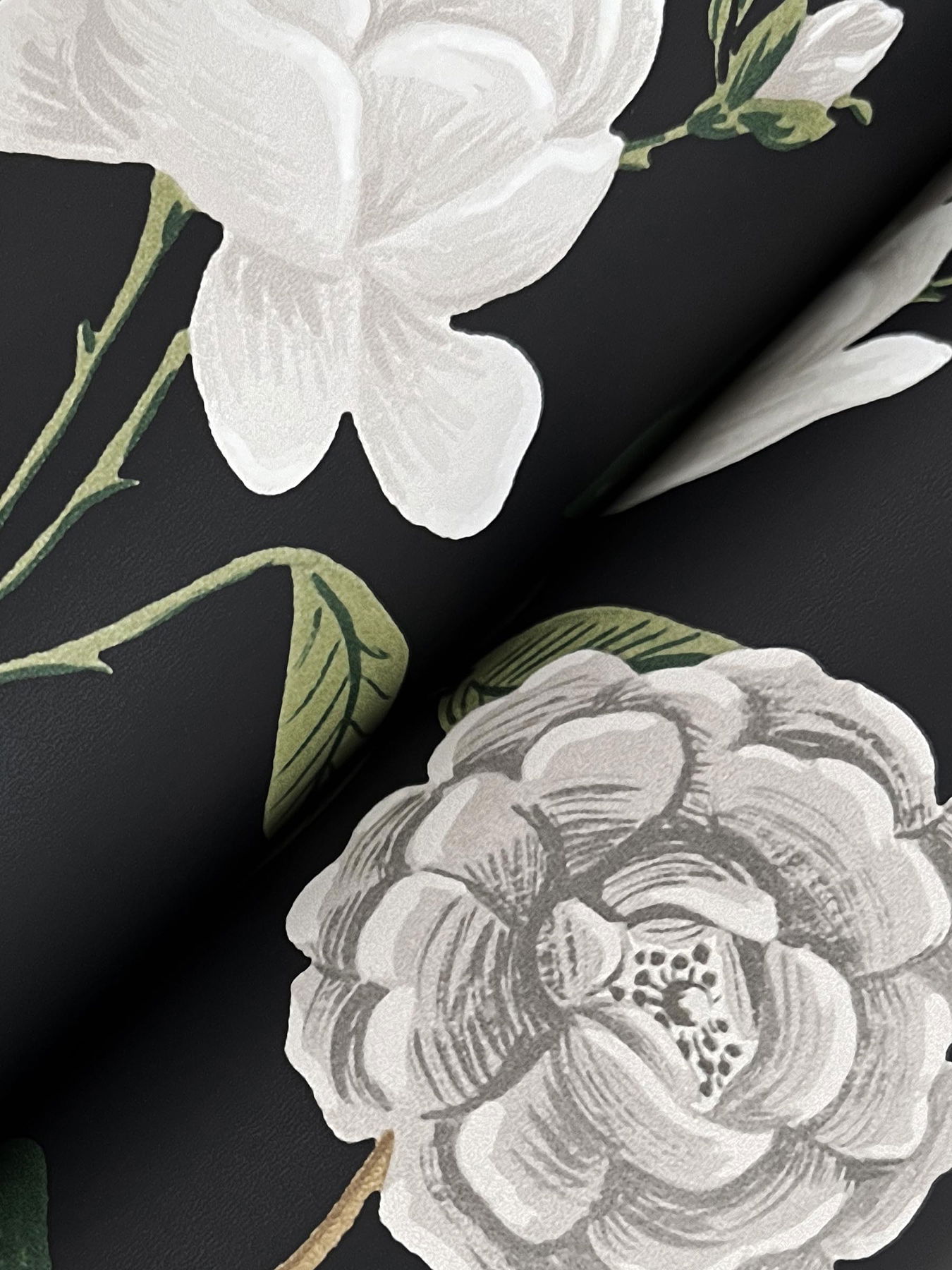 Roses Black Wallpaper large image 