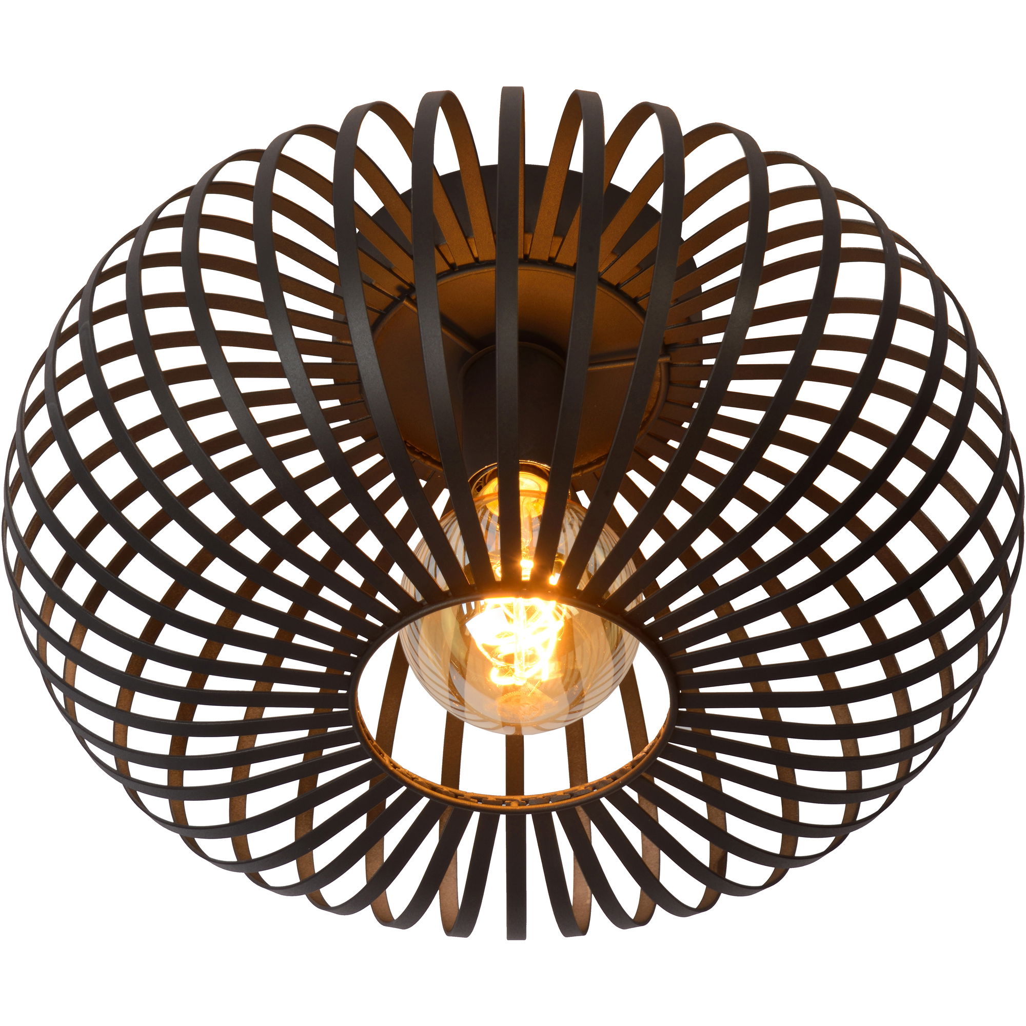 Ivy Ceiling Fixture large image 
