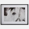 Eye Of The Beholder Framed Print thumbnail 0