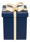 Ferrell Leather Holiday Boxes,S/3,Navy thumbnail 5