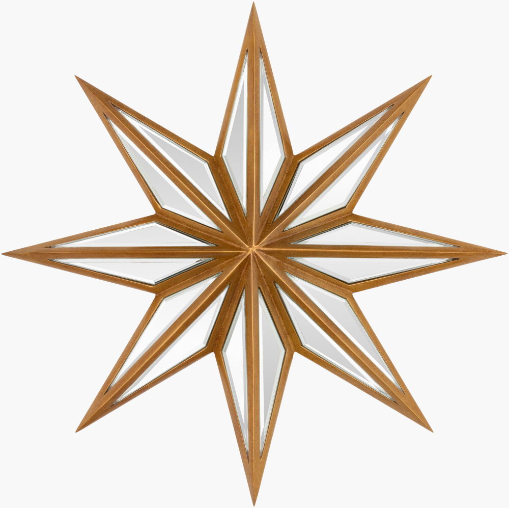 Starfish Mirror large image 