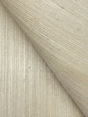 Maguey Sisal Mushroom Wallpaper 2 Maguey Sisal Mushroom Wallpaper thumbnail 2