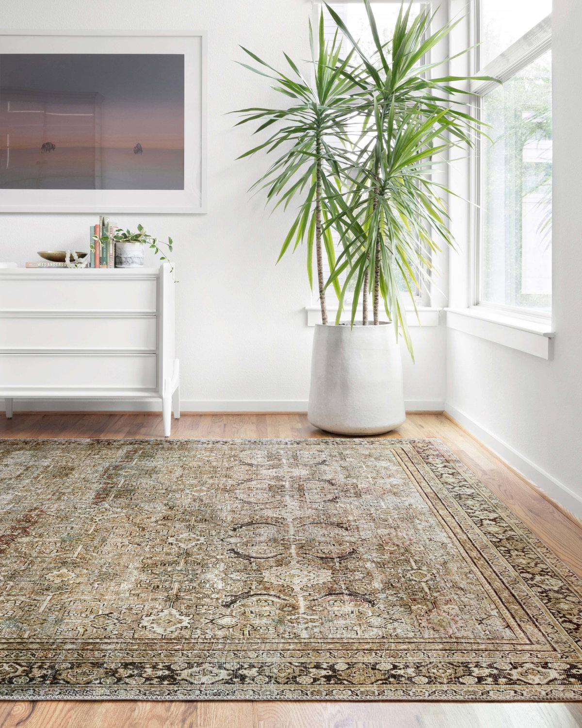 Loloi Layla Rug, 1'6" length x 1'6" width View 9