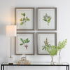 Wildflower Study Framed Prints Set/4, Painting by Uttermost, 19" width x 22" height x 1.75" depth thumbnail 2