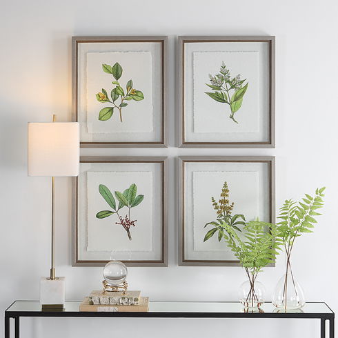 Wildflower Study Framed Prints Set/4