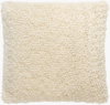 Noida Accent Pillow Poly, Decorative Pillow by Surya, 20" length x 20" width thumbnail