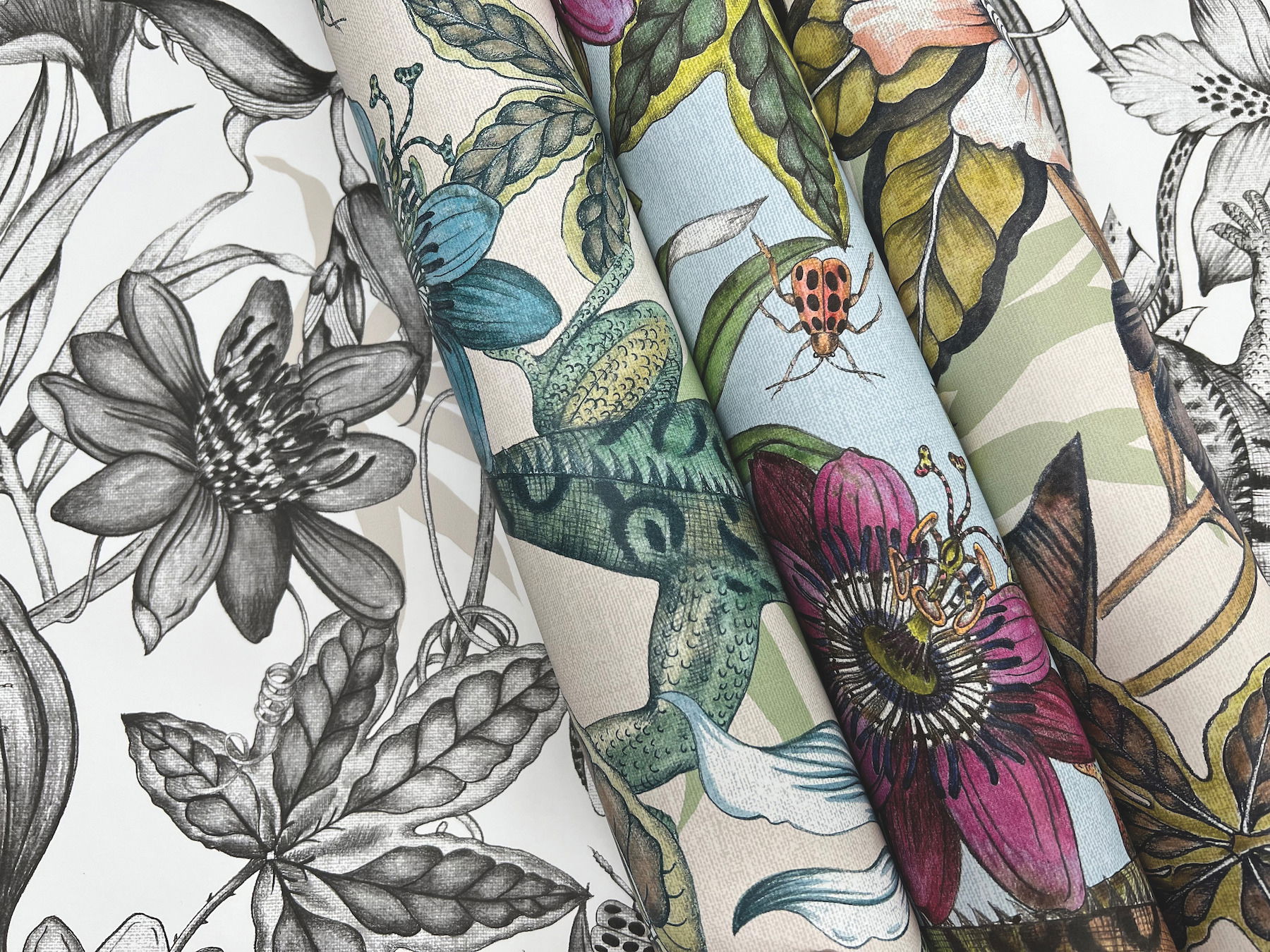Rainforest White & Charcoal Wallpaper large image 