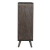 Hausen 2 Door Mid-Century Cabinet thumbnail 5