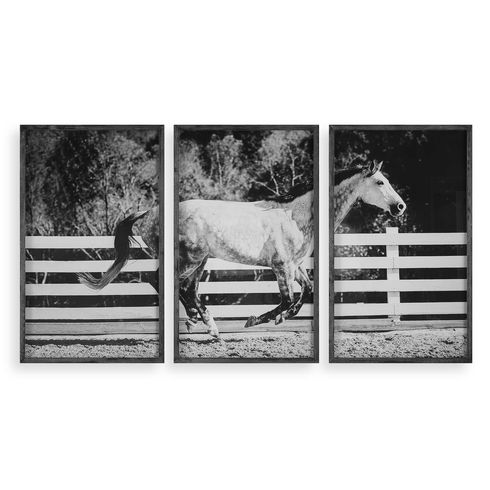 Galloping Forward Equine Prints Set/3