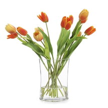 Online Designer Bedroom John Richard Glowing Sunset Plant