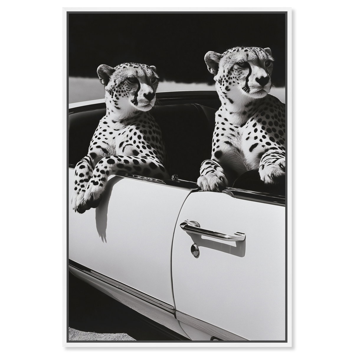 Convertible Feline II (No Embellishment), Art by Oliver Gal,  20x30 View 1