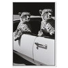 Convertible Feline II (No Embellishment), Art by Oliver Gal,  20x30 thumbnail 1