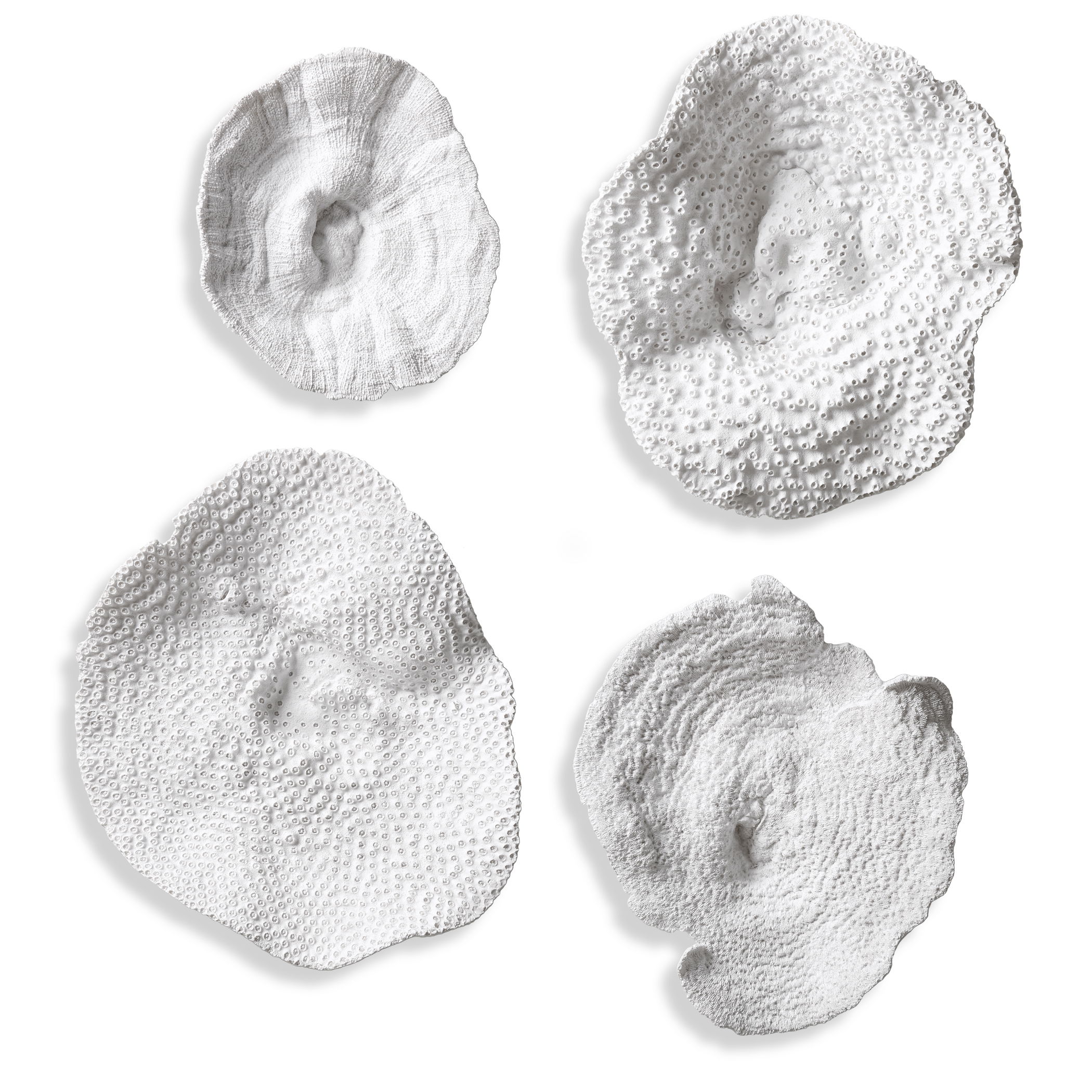 Sea Coral Wall Art S/4 large image 