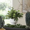 Essence Eucalyptus Accent & Vase, Artificial Plants & Flower by Uttermost, 16" width x 16" height x 16" depth thumbnail 2
