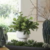 Essence Eucalyptus Accent & Vase, Decorative by Uttermost, 16" width x 16" height x 16" depth thumbnail 2