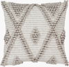 Anders Accent Pillow, Decorative Pillow by Surya, 18" length x 18" width thumbnail