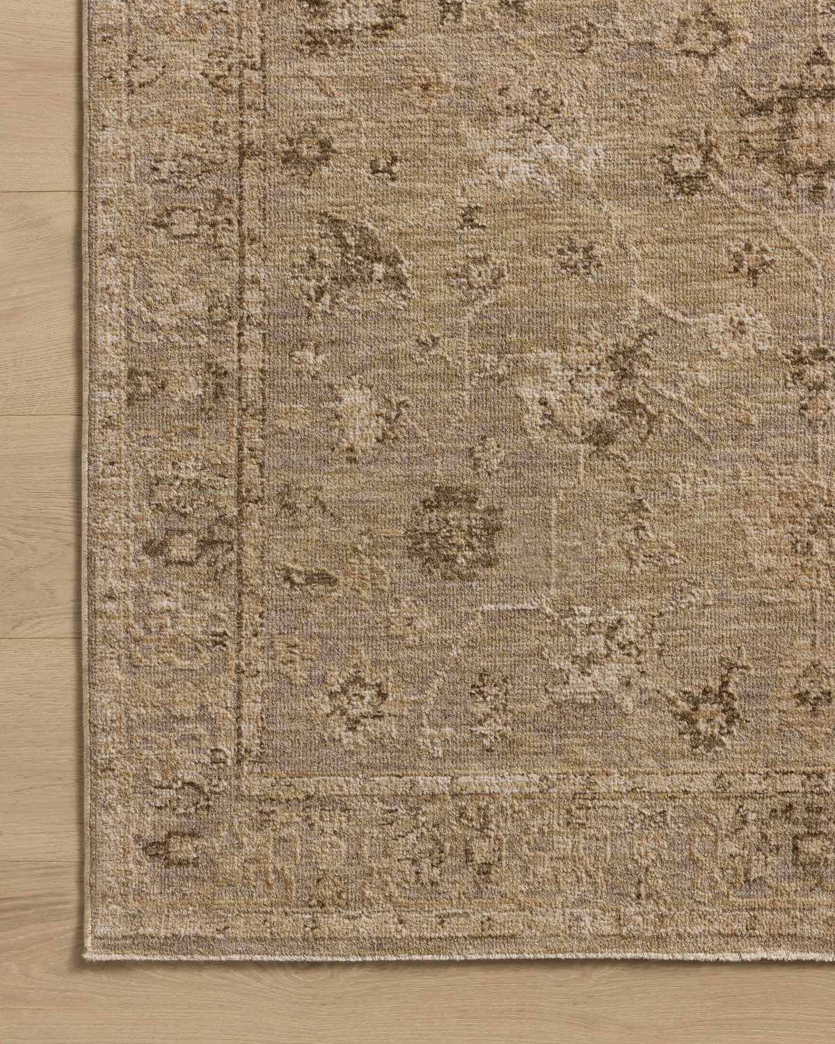 Loloi Willa Rug, 1'6" length x 1'6" width View 5
