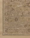 Loloi Willa Rug, 3'6" length x 5'3" width thumbnail 5