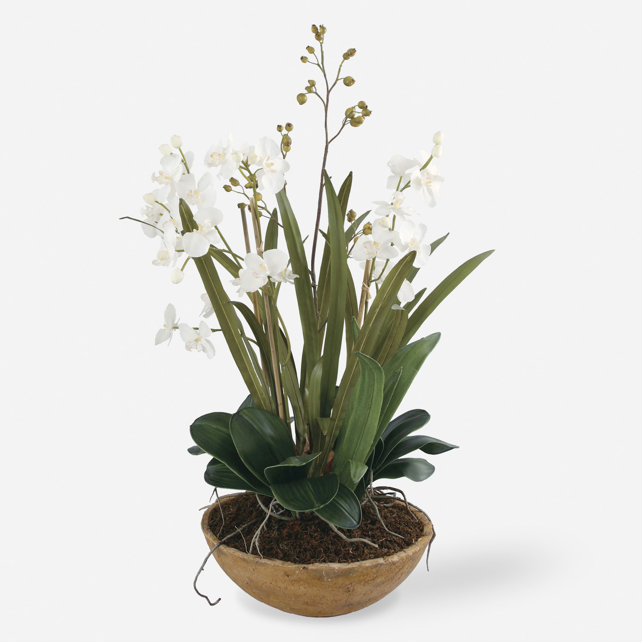 Moth Orchid Planter large image 