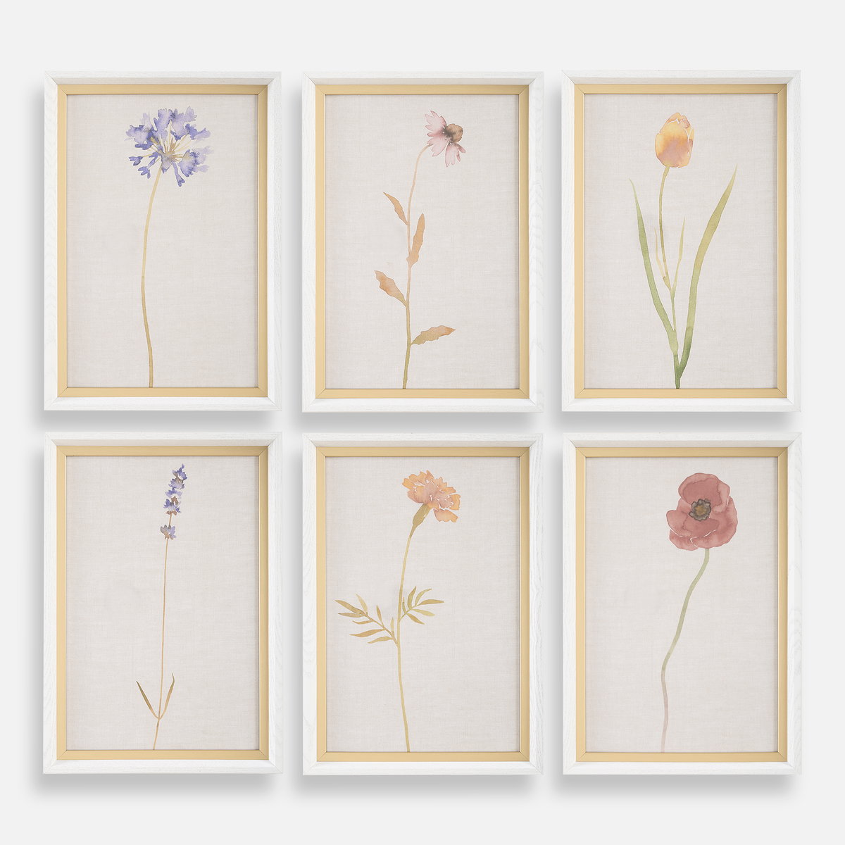 Wild Flourish Framed Floral Prints Set/6, Art by Uttermost, 14" width x 20" height x 1.5" depth View 1