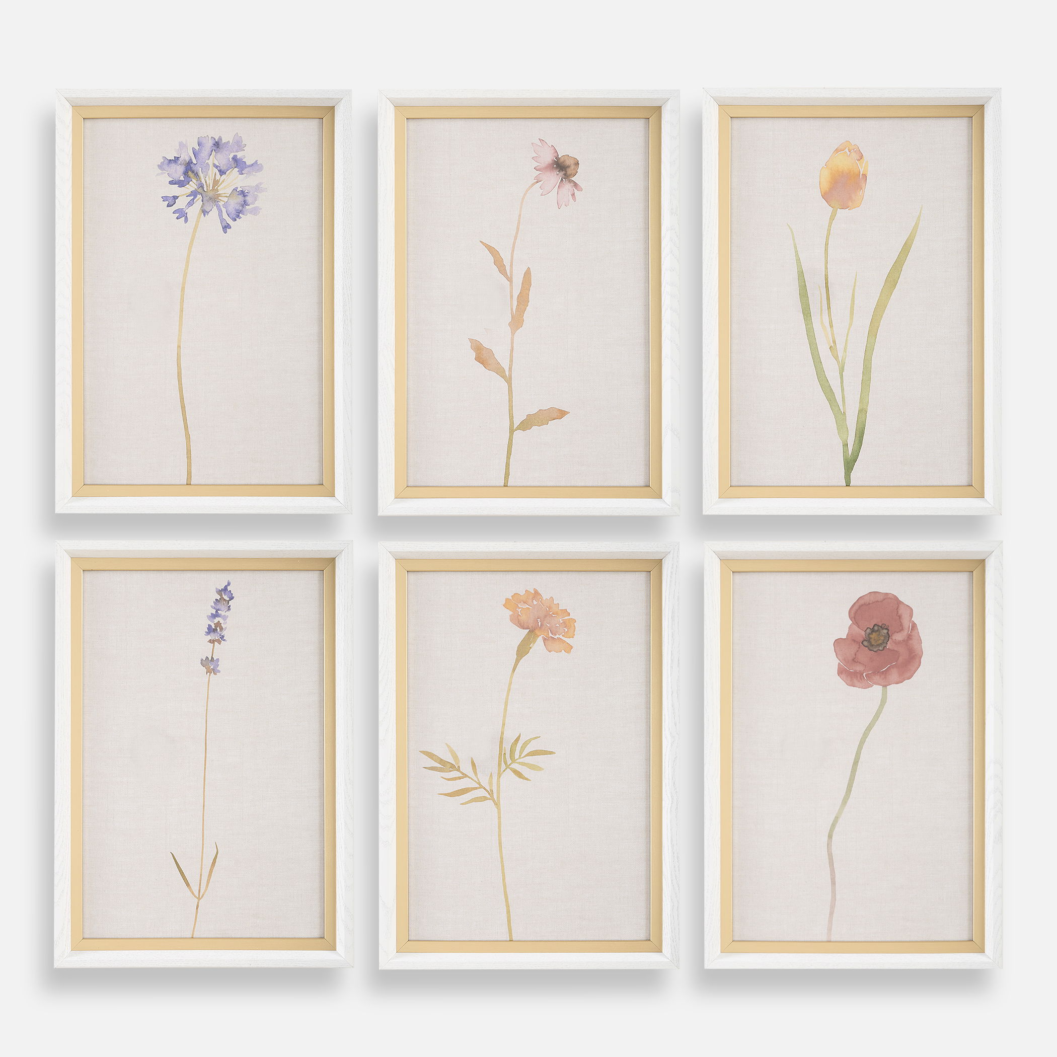 Wild Flourish Framed Floral Prints Set/6, Painting by Uttermost, 14" width x 20" height x 1.5" depth View 1