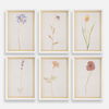 Wild Flourish Framed Floral Prints Set/6, Painting by Uttermost, 14" width x 20" height x 1.5" depth thumbnail 1