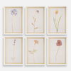 Wild Flourish Framed Floral Prints Set/6 thumbnail 0